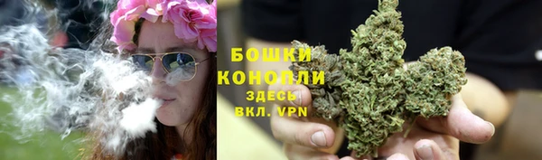 мяу мяу кристалл Няндома