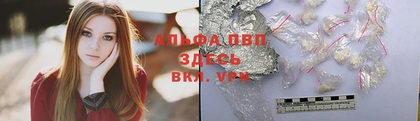 ешки Новозыбков