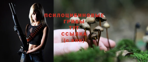 скорость Нязепетровск
