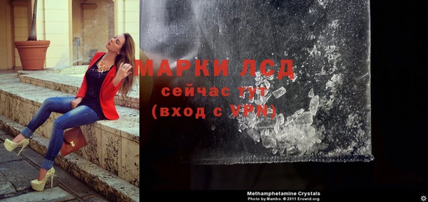 ешки Новозыбков