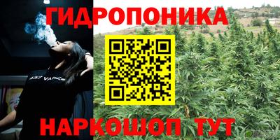 бутират Дубна