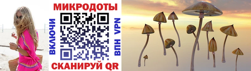 где продают наркотики  Луга  Галлюциногенные грибы мицелий 