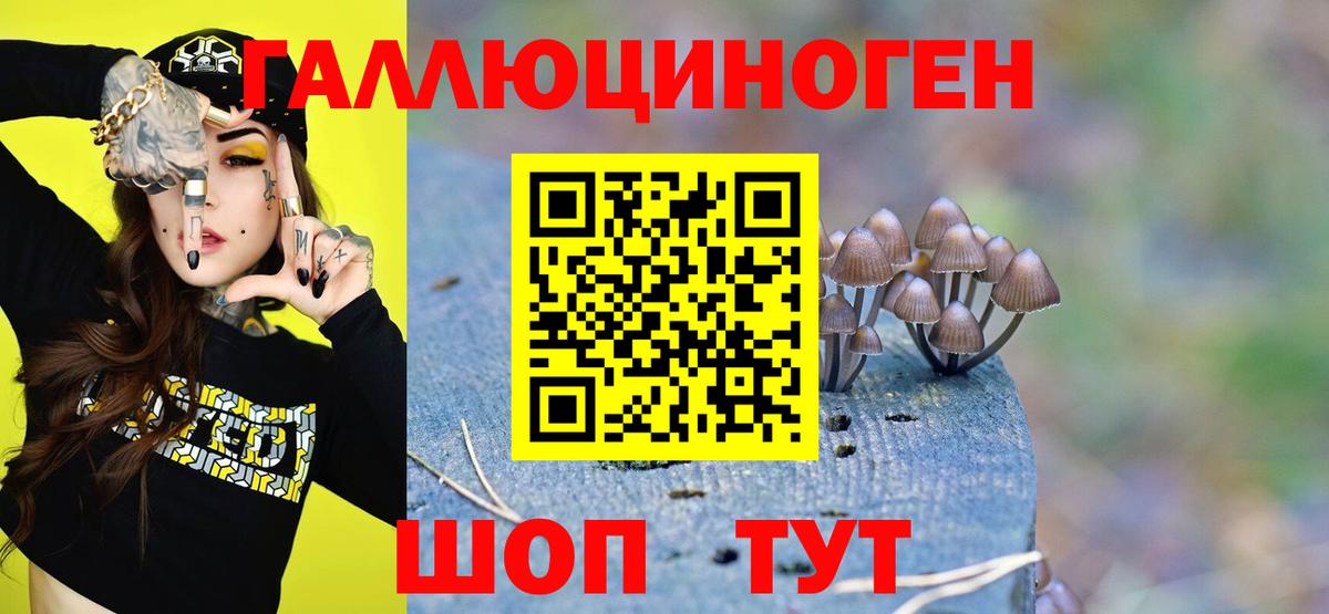 Галлюциногенные грибы ЛСД  Вход с VPN  Луга 