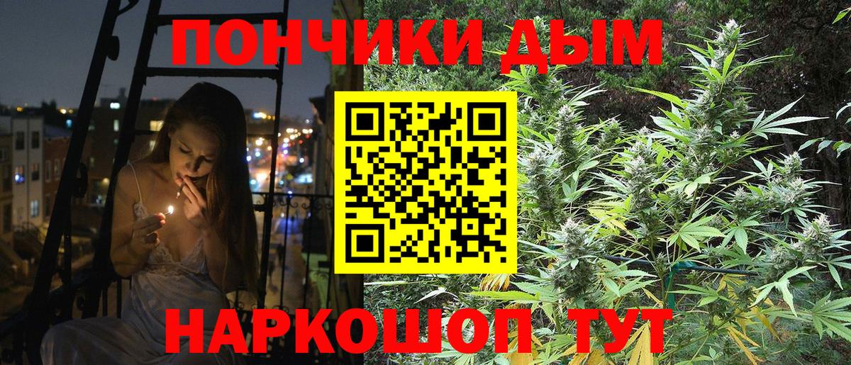 Луга  Бошки марихуана гибрид  Вход с VPN  Канабис Bruce Banner 